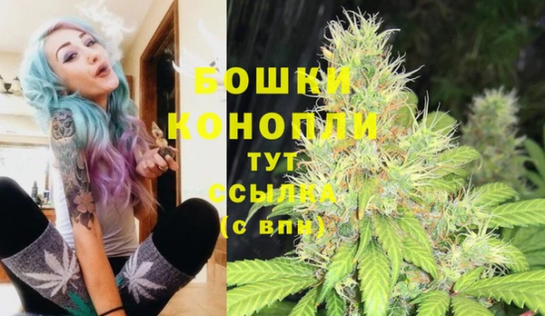 крисы Алексеевка