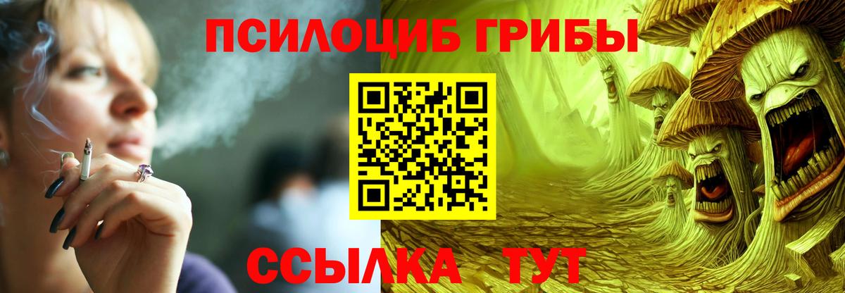 Псилоцибиновые грибы Magic Shrooms Клинцы
