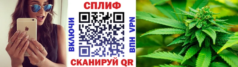 Бошки марихуана сатива сколько стоит shop состав Клинцы